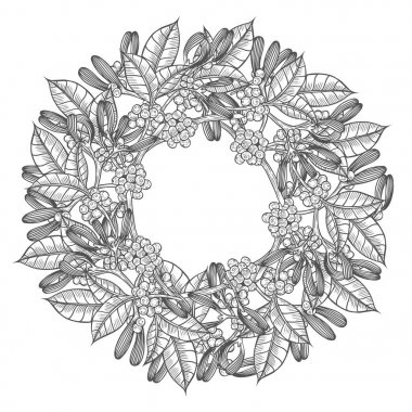 Vanilya çiçek bitki