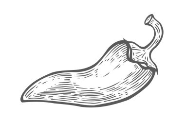 Serin biber el çekilmiş