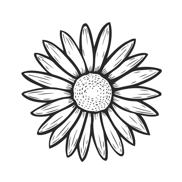 Papatya çiçek elle çizilmiş