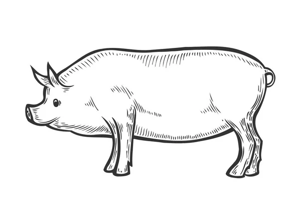 Животноводческий скот . — стоковый вектор