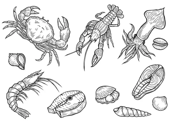 Fruits de mer marins sains — Image vectorielle