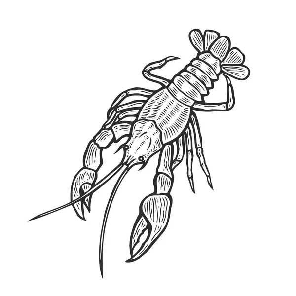 Homard marin dessiné à la main — Image vectorielle