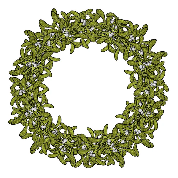 Green Mistletoe wreath. — Stock Vector