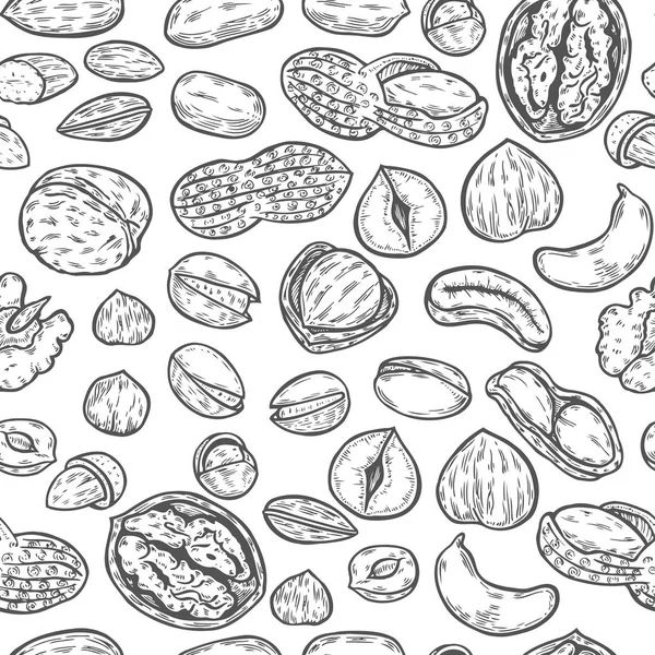 Орехи и семена . — стоковый вектор