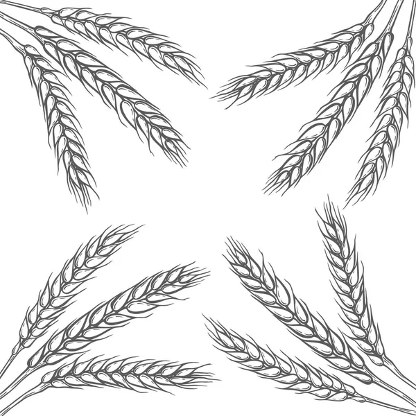 Illustration of wheat — Stock Vector