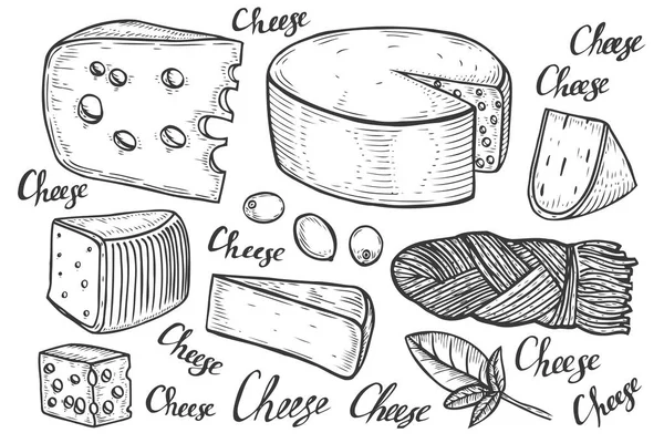 Variaciones de queso boceto de cocina . — Vector de stock