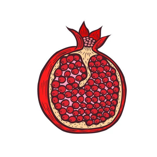 Granaatappel fruit, berry met bloemen en blaadjes. — Stockvector