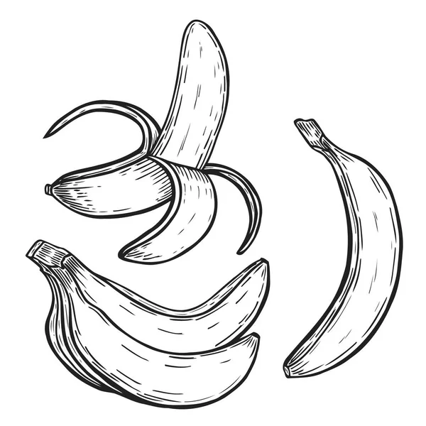 Banana fruit set — Stock Vector
