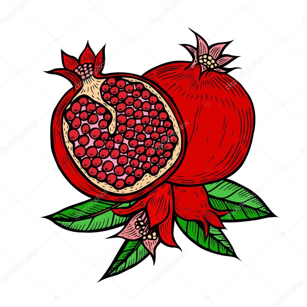 Pomegranate fruit berry