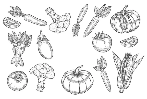 Farmers Market Badge Monochrome Vintage Engraving Organic Vegetables Wheat Fruits — Stock Vector