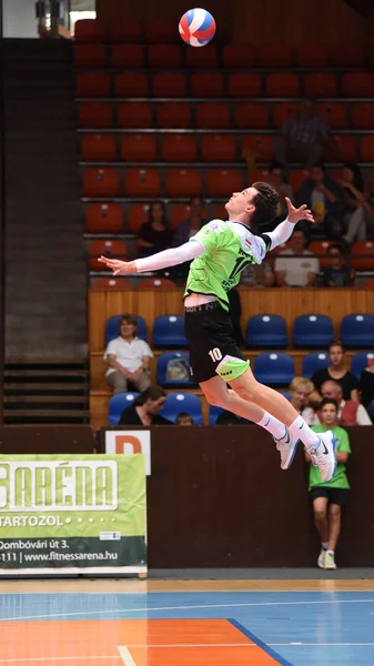 Kaposvar-Pecs mäns volleyboll spel — Stockfoto