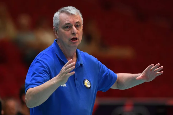 Budapest Hungary August 2019 Luciano Pedulla Romanian Head Coach Netherlads ストック写真