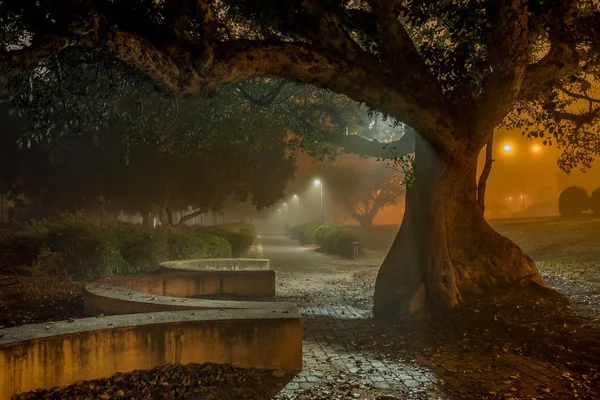 Parkta ışıklar yandı. Sabah sis