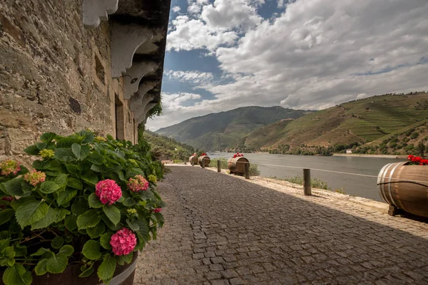 Színes Tájak Douro Folyó Völgyében Portugália — Stock Fotó