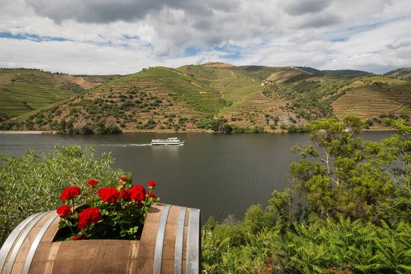 Renkli manzaraları Douro Nehri Vadisi. Portekiz.