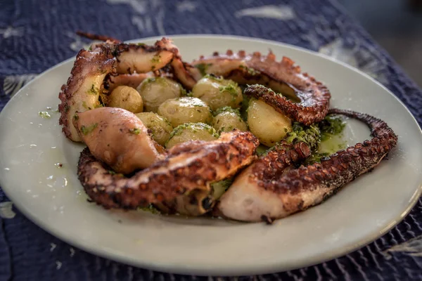 Octopus Galician Seafood Gran Canaria Las Palmas February 2018 — Stock Photo, Image