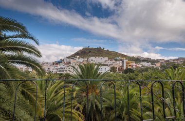 Muhteşem şehir Arucas. Şehir Parkı. Gran Canaria Şubat 2018.