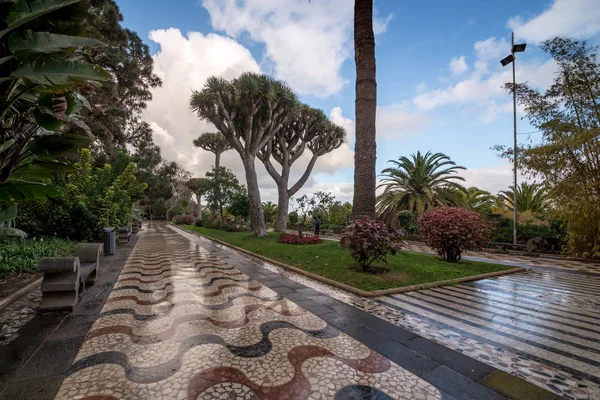 Magnifique Ville Arucas City Park Gran Canaria Février 2018 — Photo