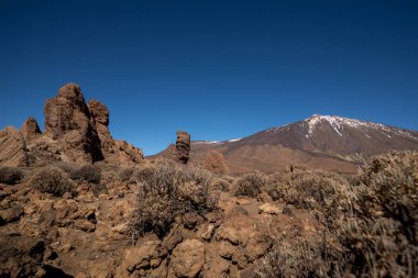 Teide Milli Parkı. Tenerife Kanarya Adaları Şubat 2018.