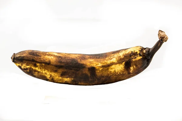 Beyaz arka plan ile tek bir büyük kahverengi muz