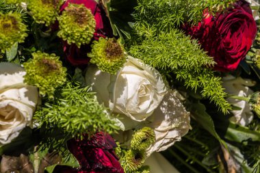 Beyaz ve kırmızı gül Parkı yeşil alan üzerinde