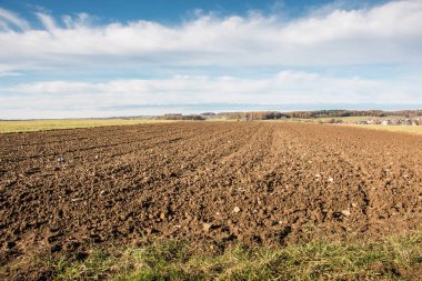 Bereketli alanlar ve yeşil ve kahverengi toprak