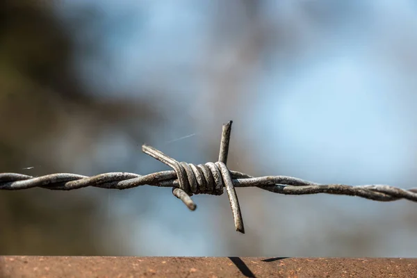 Cerca de arame farpado feita de aço para proteção — Fotografia de Stock