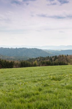 Küçük tepeler, yeşil alanları, yeşil çayırlar ve yeşil ormanlar