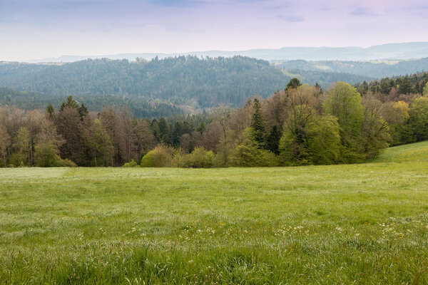 Small hills, green fields, green meadows and green forests