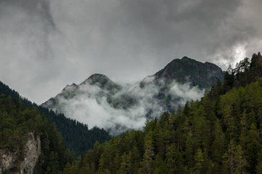 Dağları, yeşil alanlar, çayır ve orman
