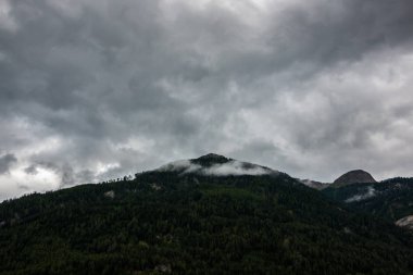 Dağları, yeşil alanlar, çayır ve orman