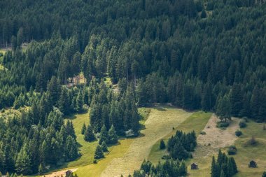 Dağları, yeşil alanlar, çayır ve orman