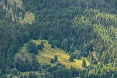 Dağları, yeşil alanlar, çayır ve orman