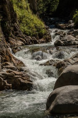 Vahşi creek, ağaçlar ve kanyon büyük kayalar