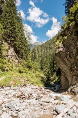 Vahşi creek, ağaçlar ve kanyon büyük kayalar