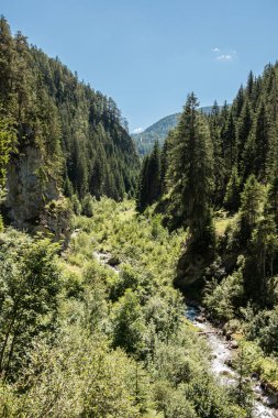 Vahşi creek, ağaçlar ve kanyon büyük kayalar