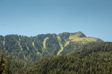 Dağları, yeşil alanlar, çayır ve orman