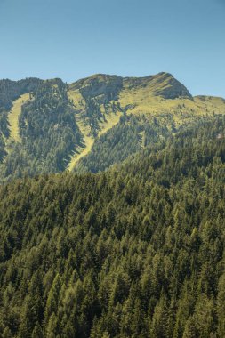 Dağları, yeşil alanlar, çayır ve orman