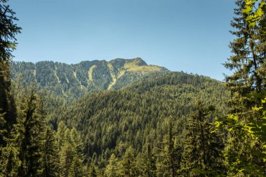 Dağları, yeşil alanlar, çayır ve orman