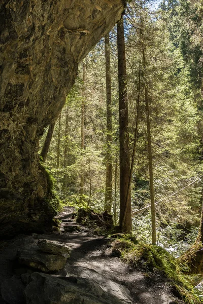 Grandes rocas y bosque verde en las montañas — Foto de Stock