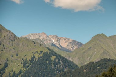 Dağları, yeşil alanlar, çayır ve orman