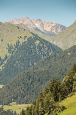 Dağları, yeşil alanlar, çayır ve orman