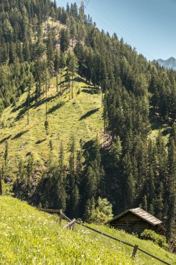 Dağları, yeşil alanlar, çayır ve orman