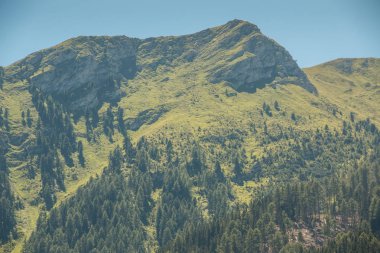 Dağları, yeşil alanlar, çayır ve orman