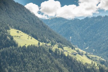 Dağları, yeşil alanlar, çayır ve orman