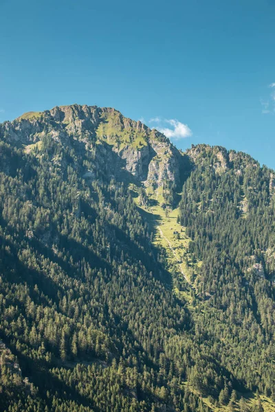 Dağları, yeşil alanlar, çayır ve orman