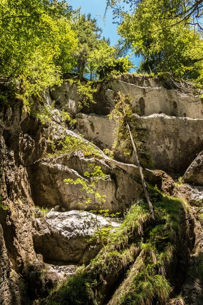 Arroyo salvaje, grandes rocas y árboles en el cañón — Foto de Stock