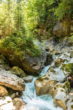 Vahşi creek, büyük kayalar ve ağaçlar Kanyon