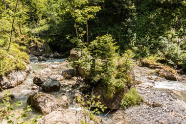 Vahşi creek, büyük kayalar ve ağaçlar Kanyon