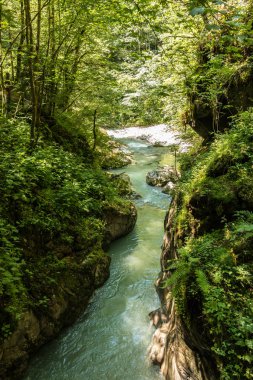 Vahşi creek, büyük kayalar ve ağaçlar Kanyon